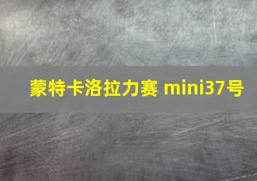 蒙特卡洛拉力赛 mini37号